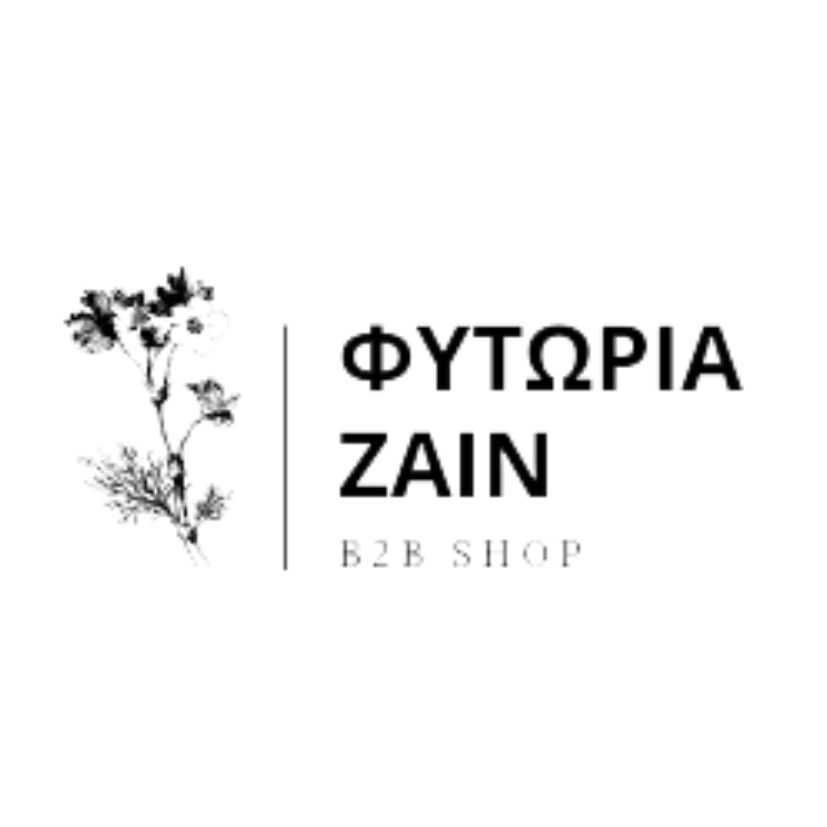 www.zain.gr